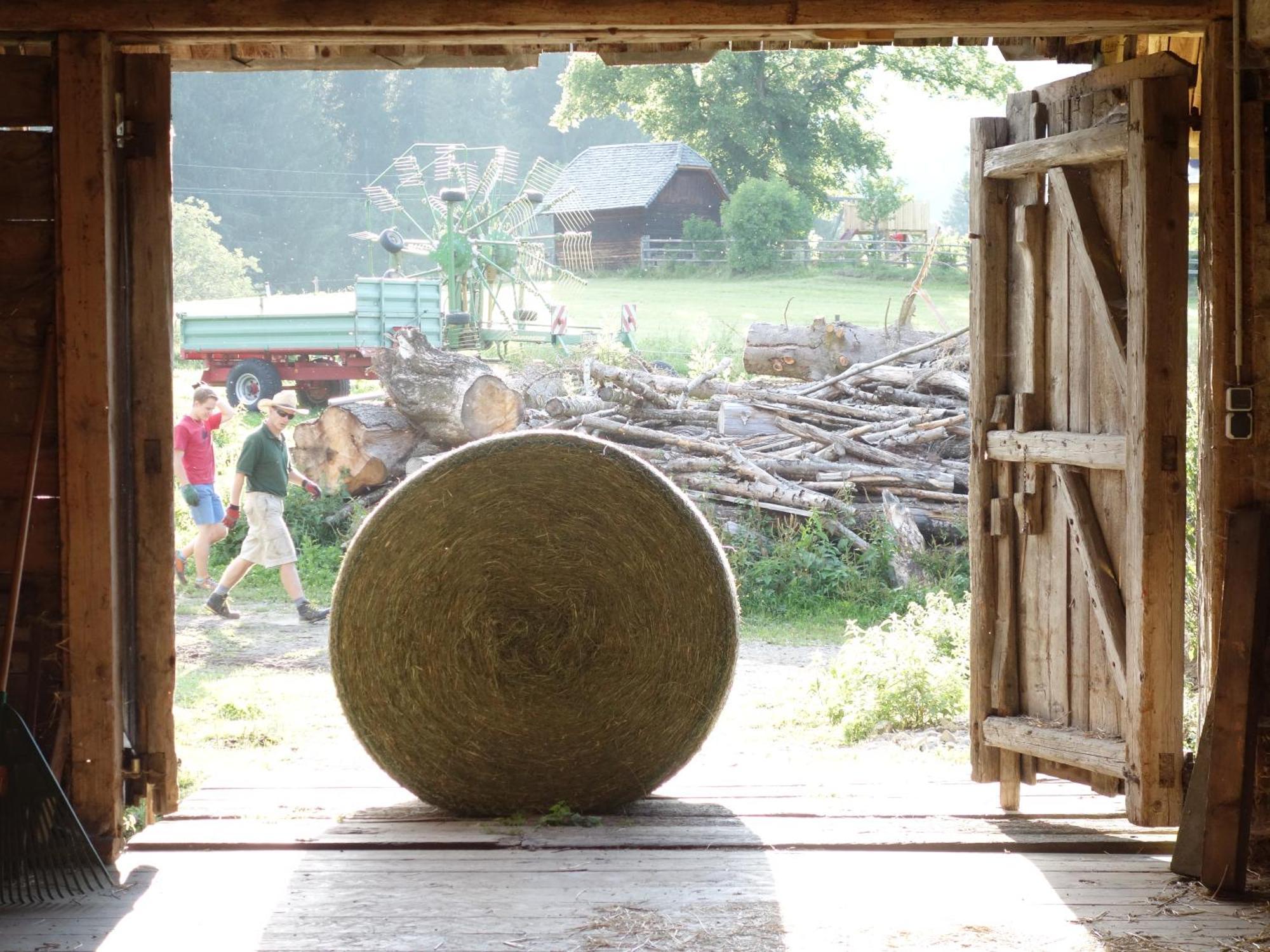Вілла Urlaub Am Bio-Bauernhof Liebchen Zeutschach Екстер'єр фото