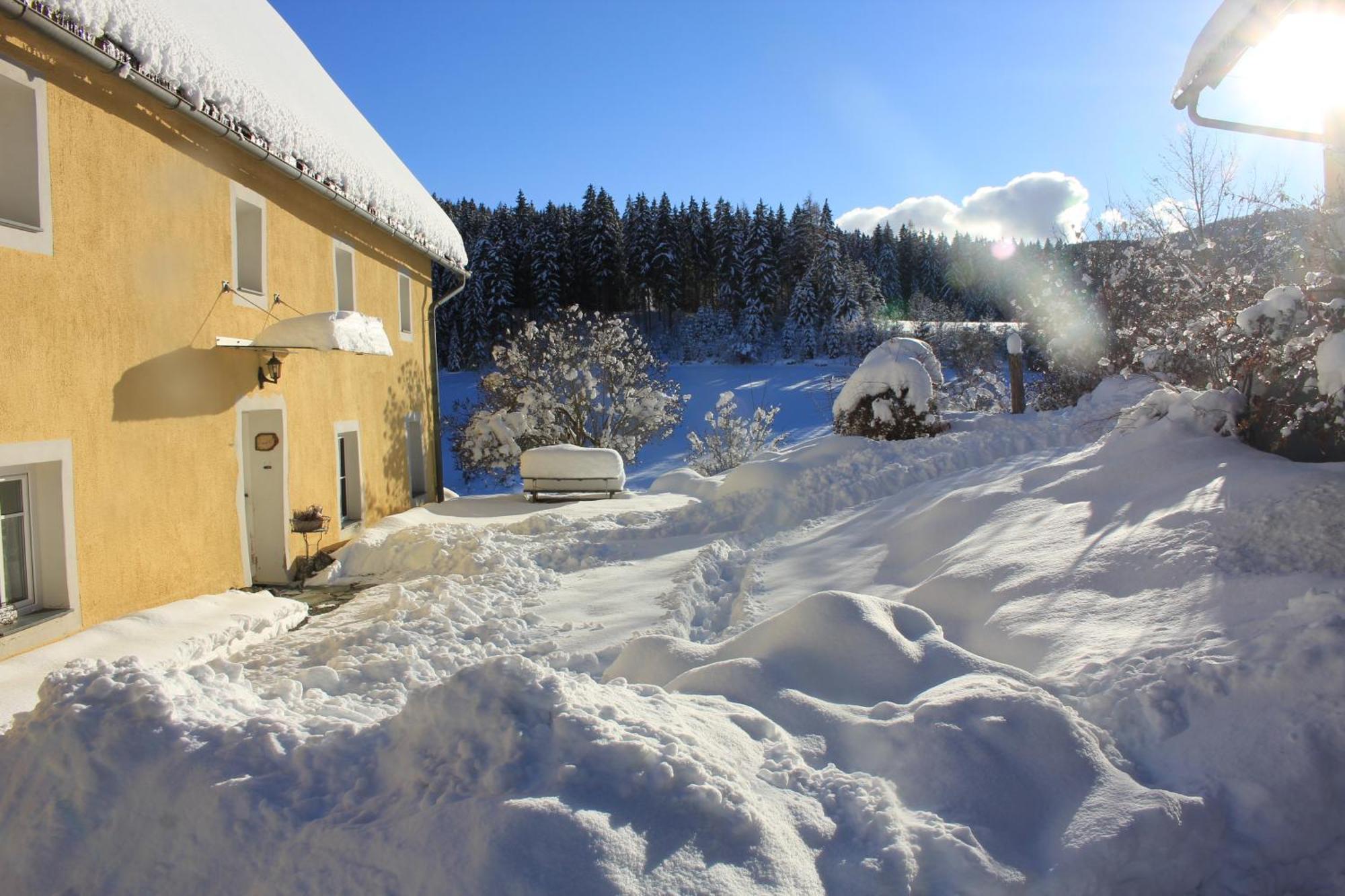 Вілла Urlaub Am Bio-Bauernhof Liebchen Zeutschach Екстер'єр фото